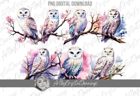 Download Winter Snow Owl Watercolor Bird PNG - Snow owl Collection