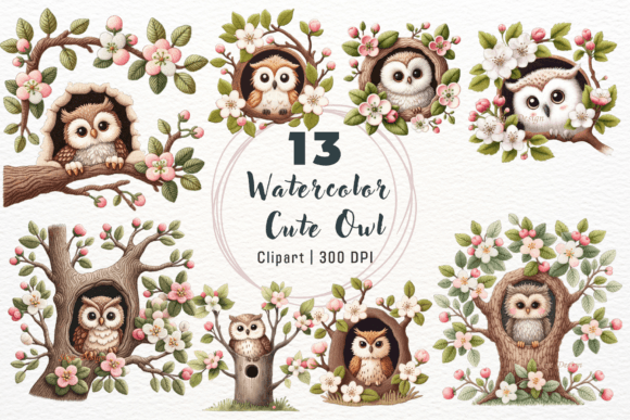 Download Watercolor Cute Owl Clipart - Premium Bundle